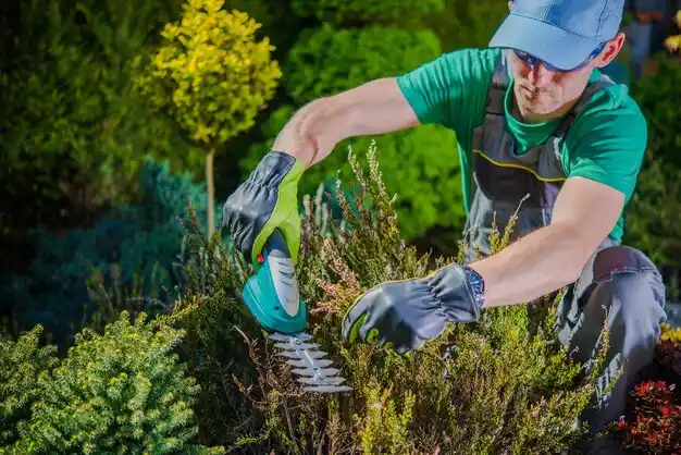 landscaping services Chackbay